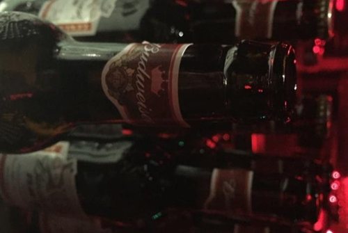 成都蜂王酒吧人均消费_蜂王酒吧