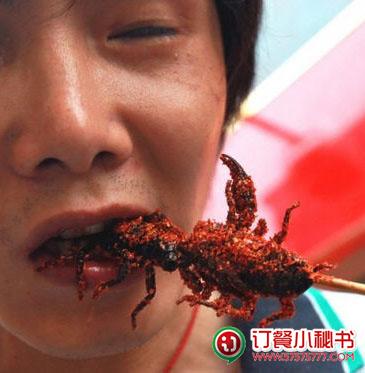 给有勇气吃虫子的人看